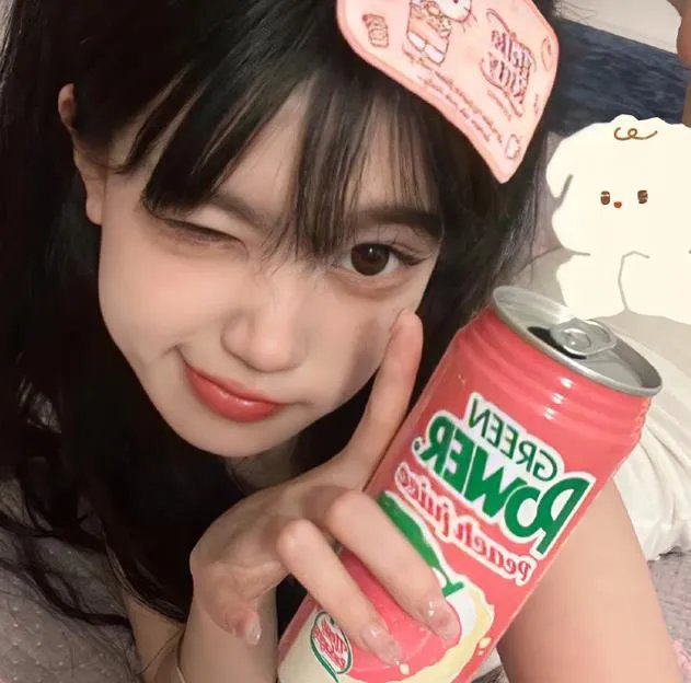 总统班底